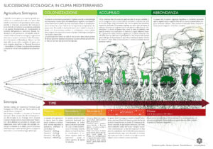 agricoltura sintropica santa lorica