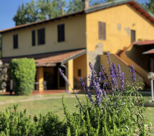 agriturismo sassetta