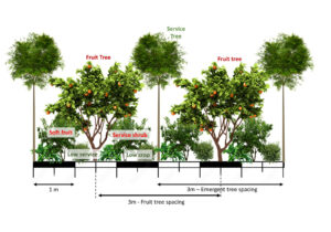 schema agroforestazione corso